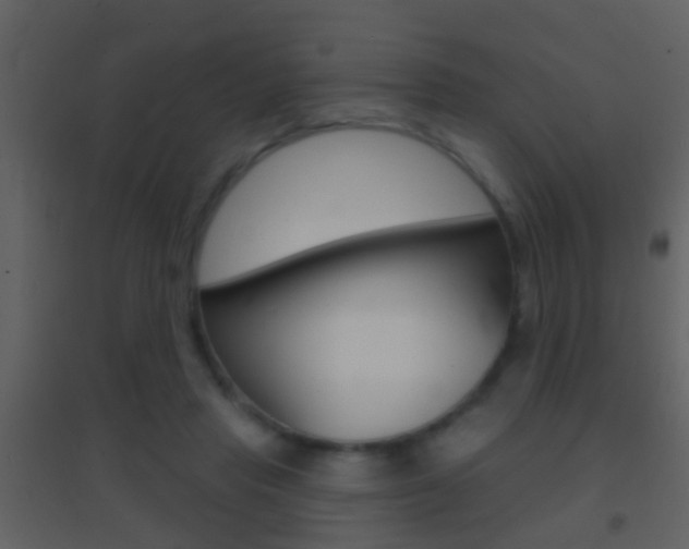 X0000095530453200712140938