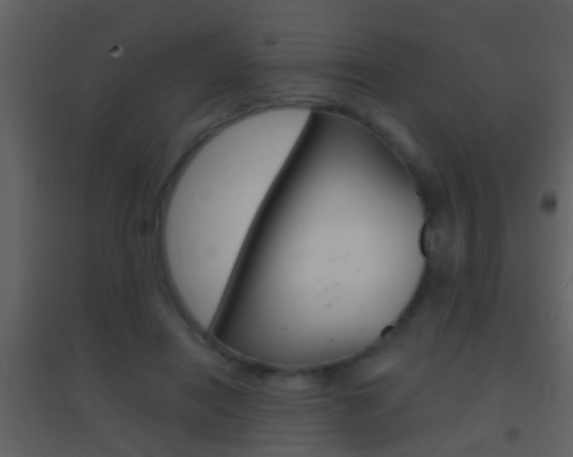 X0000095530454200712140938