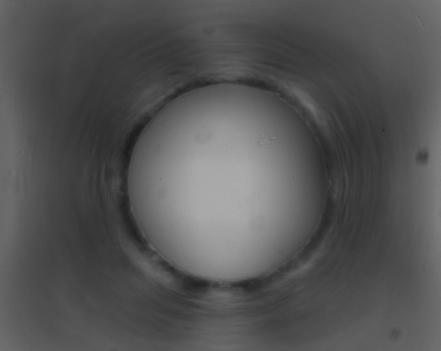 X0000095530455200712140938