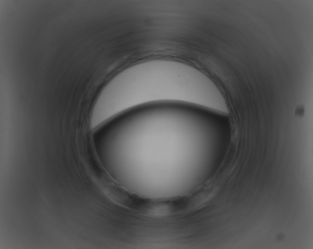 X0000095530456200712140938