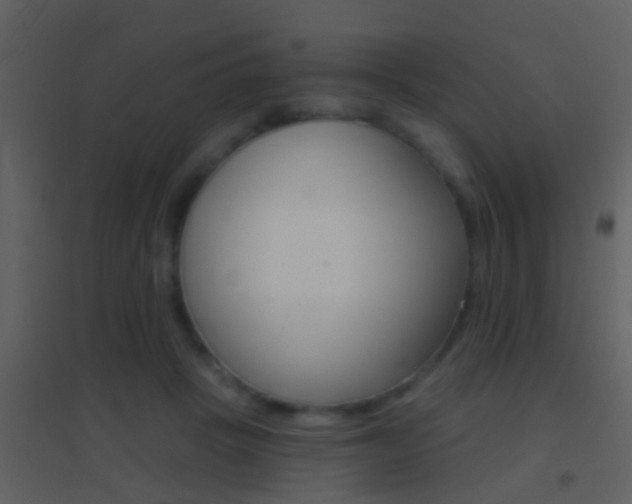 X0000095530457200712140938