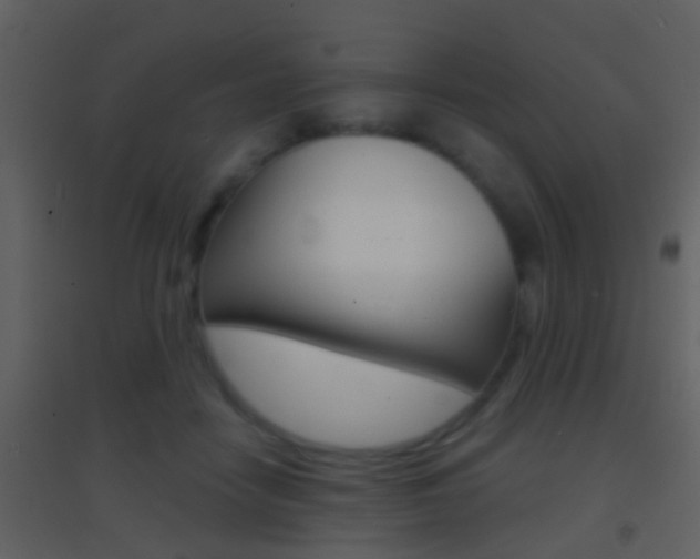 X0000095530458200712140938