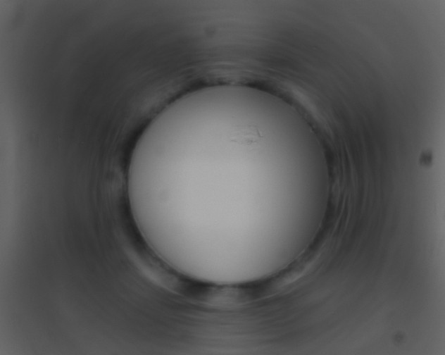 X0000095530459200712140938