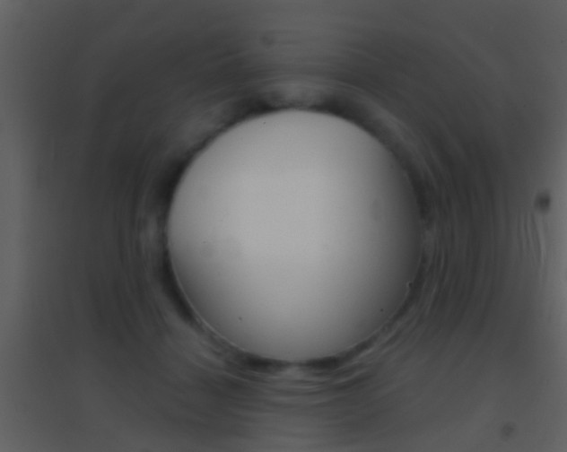 X0000095530460200712140938