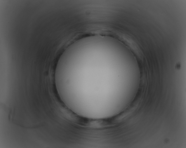 X0000095530461200712140938