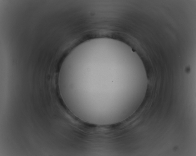 X0000095530462200712140938
