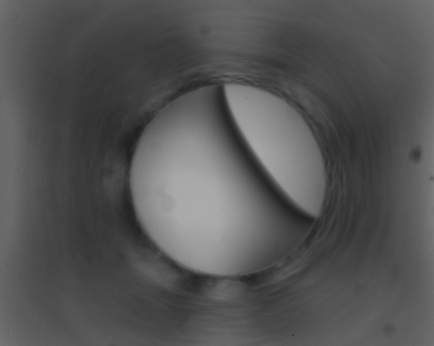 X0000095530463200712140938