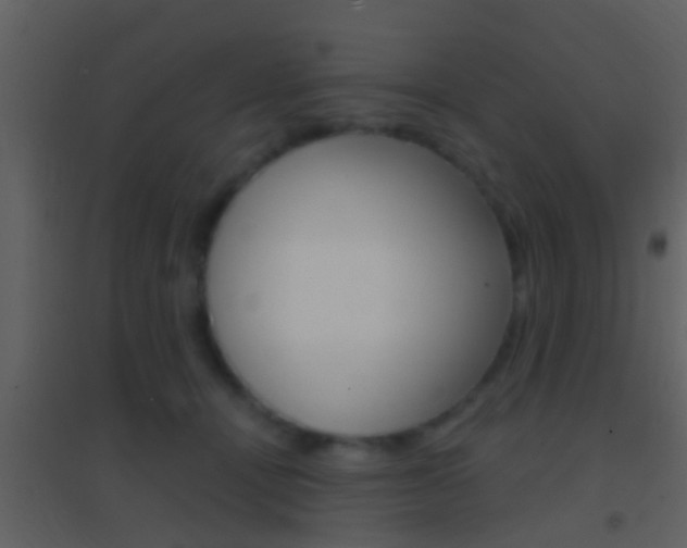 X0000095530464200712140938
