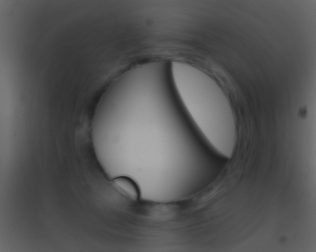 X0000095530465200712140938