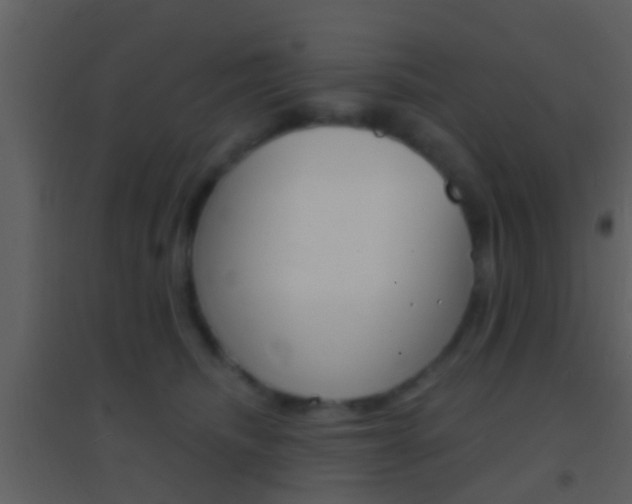 X0000095530468200712140938