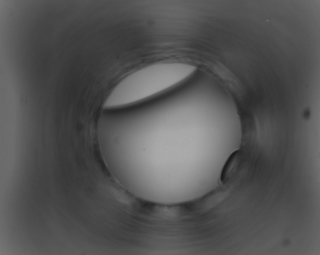 X0000095530469200712140938