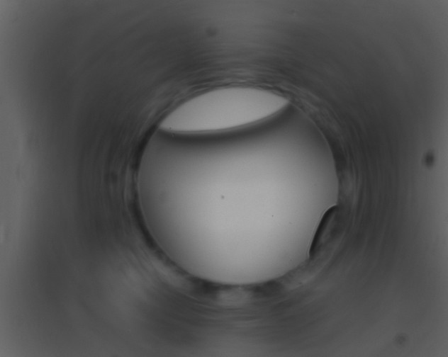 X0000095530470200712140938