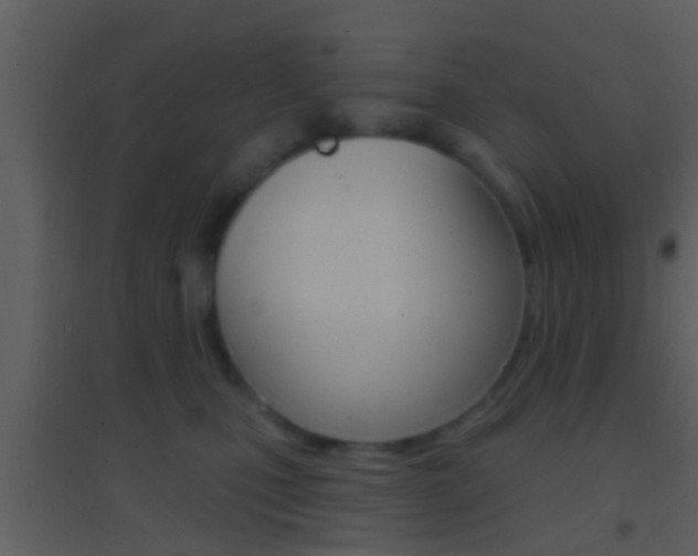 X0000095530471200712140938