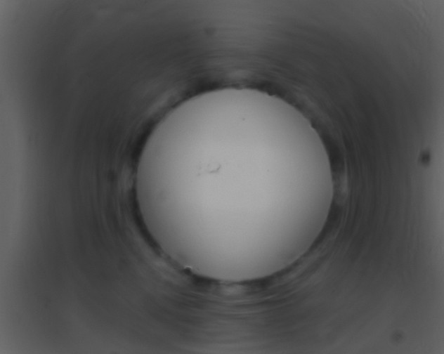 X0000095530472200712140938