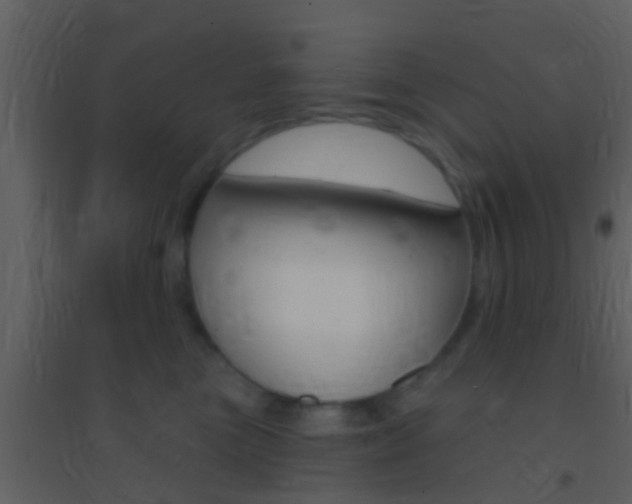 X0000095530473200712140938