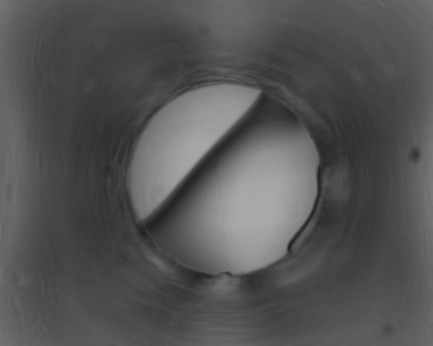 X0000095530474200712140938