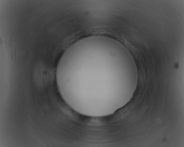X0000095530475200712140938