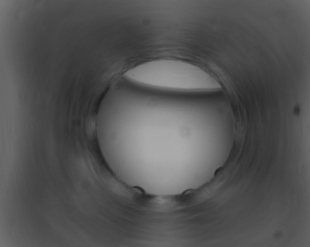 X0000095530477200712140938