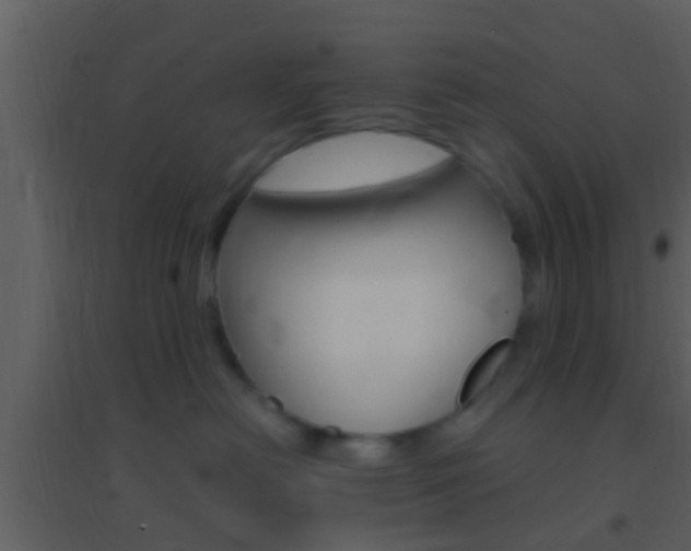 X0000095530478200712140938