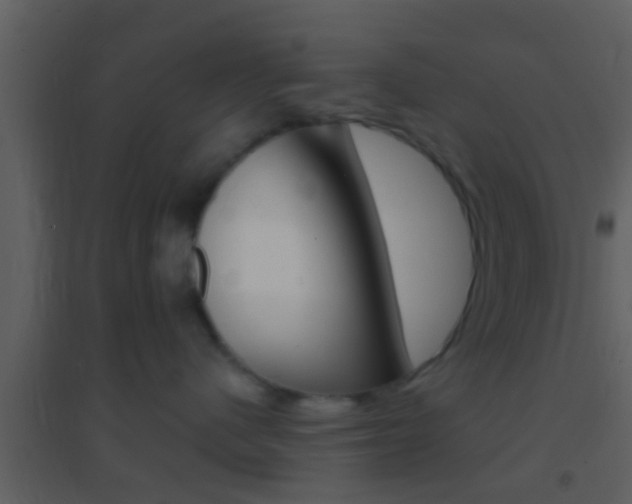 X0000095530480200712140938