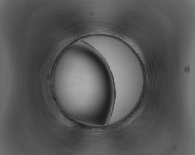 X0000095530481200712140938