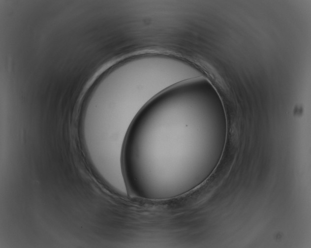 X0000095530484200712140938