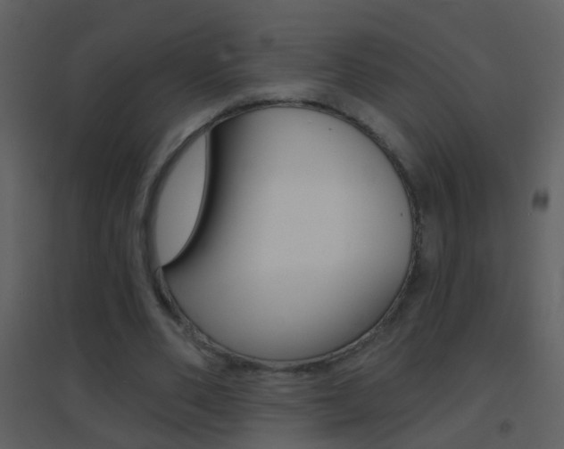 X0000095530486200712140938