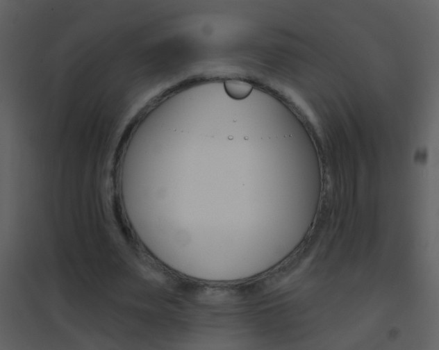 X0000095530487200712140938