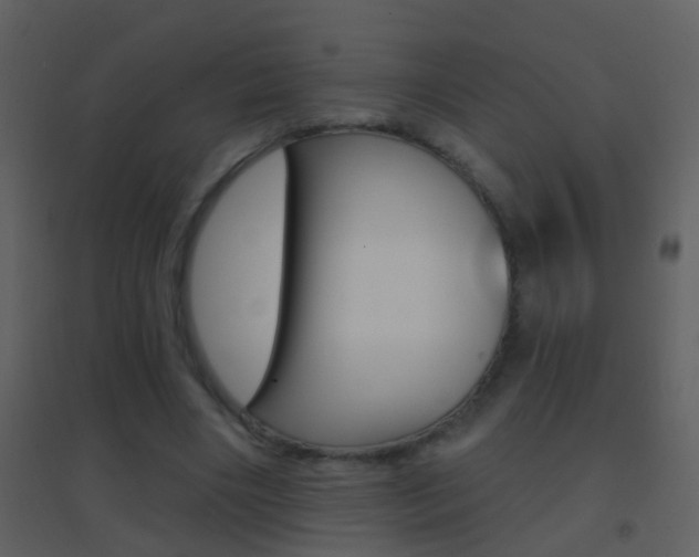 X0000095530490200712140938