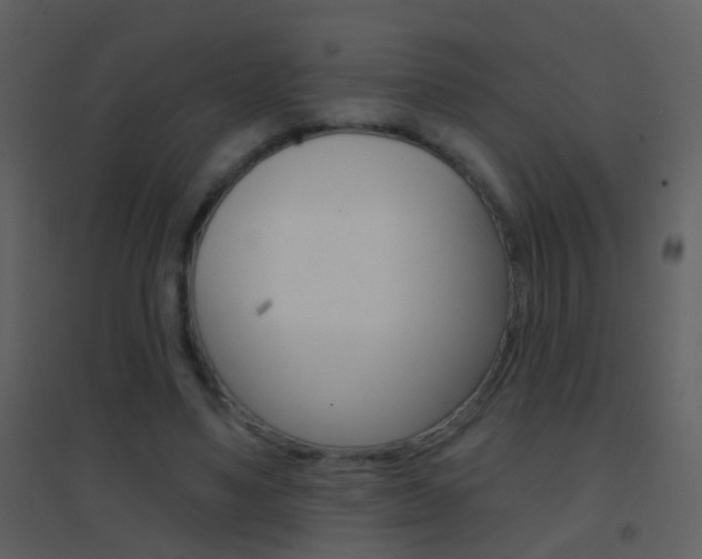 X0000095530491200712140938