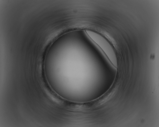 X0000095530493200712140938