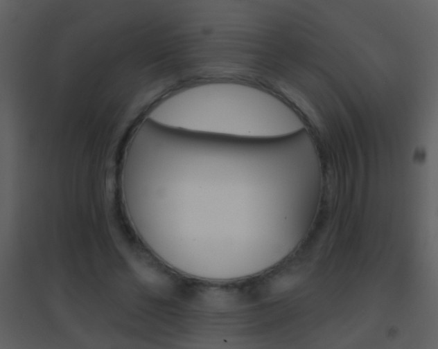 X0000095530494200712140938