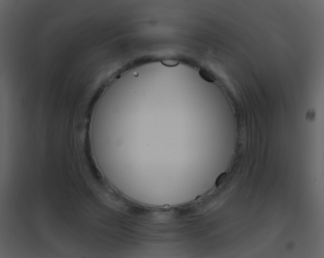 X0000095530495200712140938