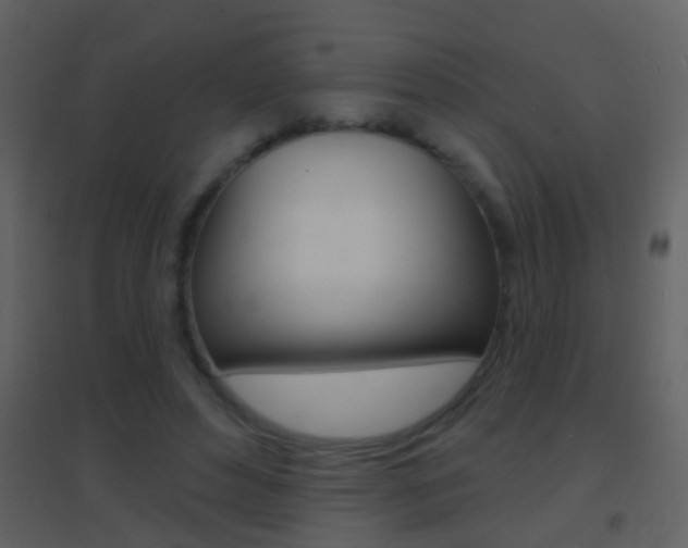 X0000095530496200712140938