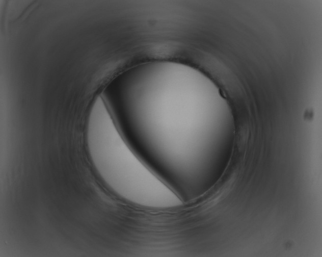 X0000095530497200712140937