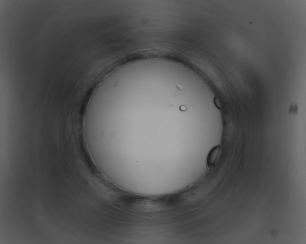 X0000095530498200712140937
