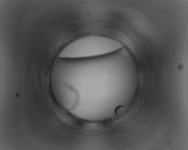 X0000095530499200712140937