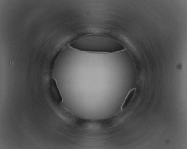 X0000095530500200712140937