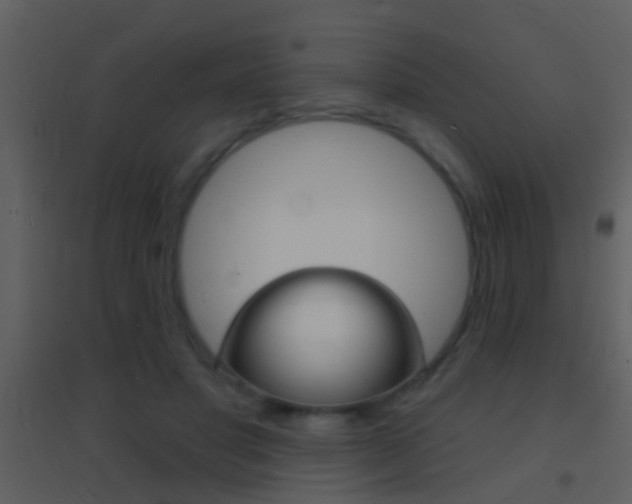 X0000095530501200712140937