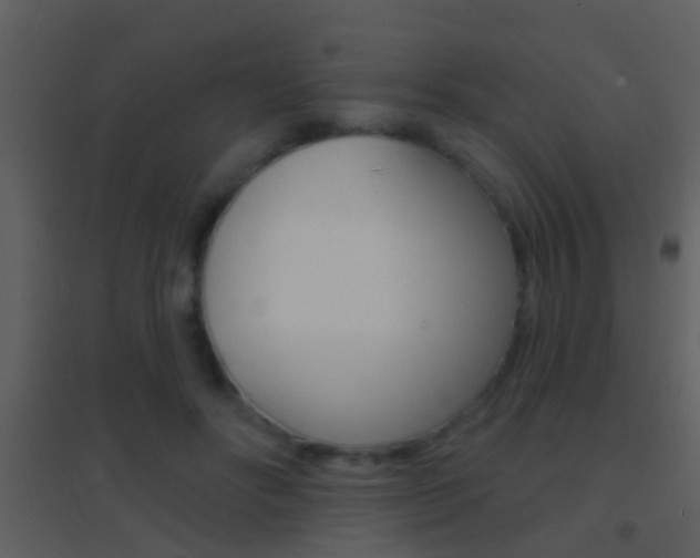 X0000095530502200712140937