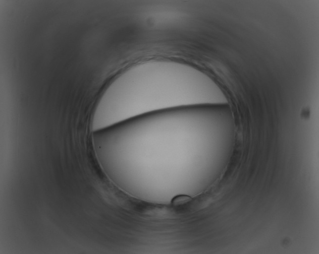 X0000095530503200712140937