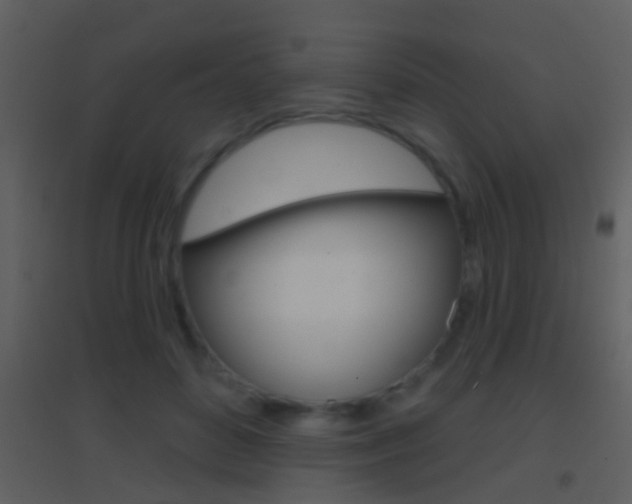 X0000095530504200712140937
