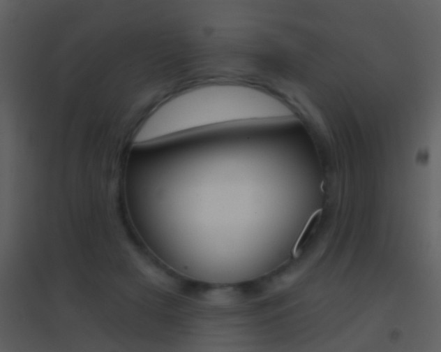 X0000095530505200712140937