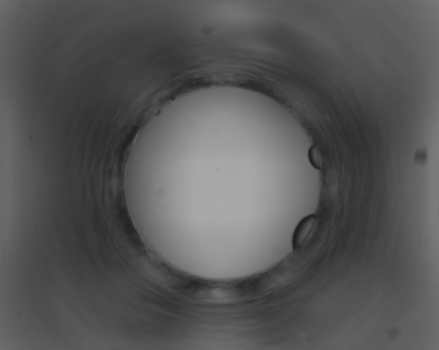 X0000095530506200712140937