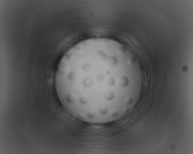 X0000095530507200712140937