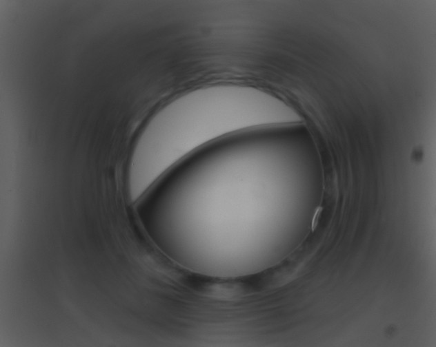 X0000095530508200712140937