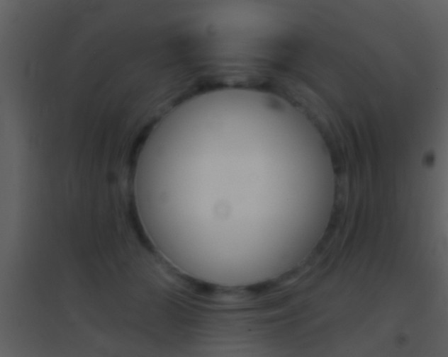 X0000095530510200712140937