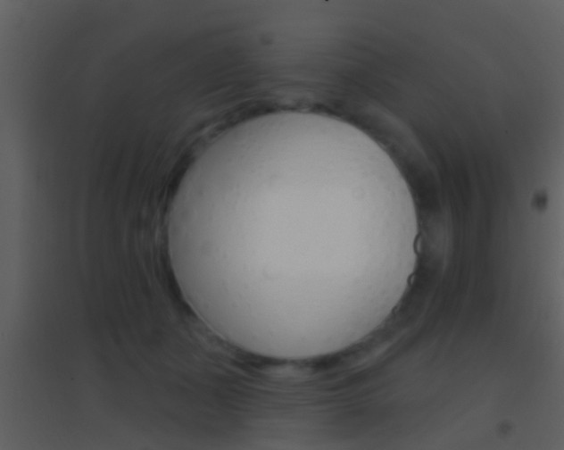 X0000095530511200712140937