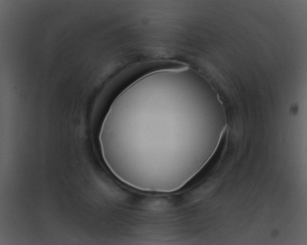 X0000095530512200712140937