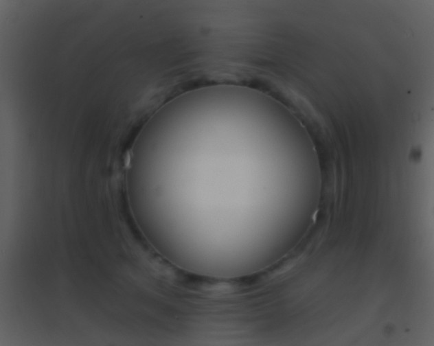 X0000095530513200712140937